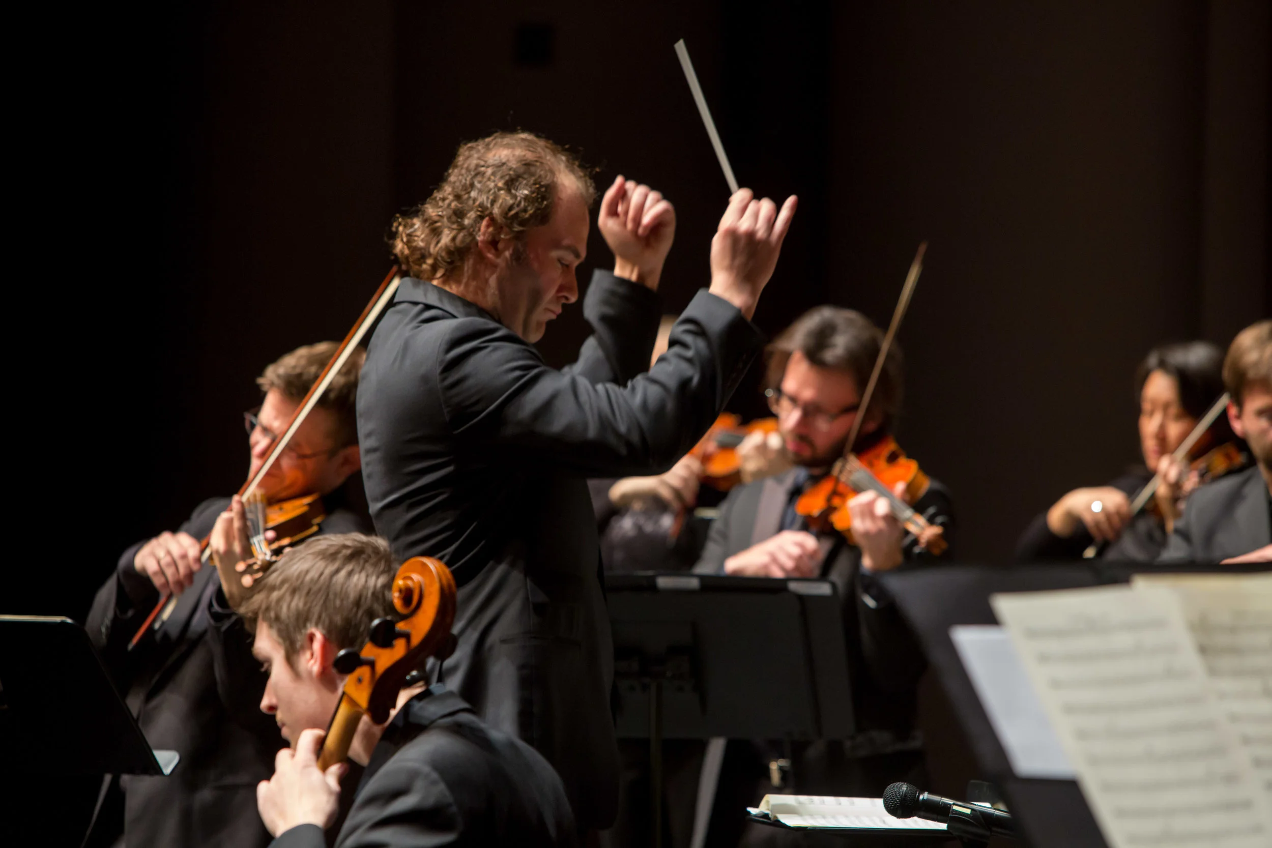 Brahms' First Symphony